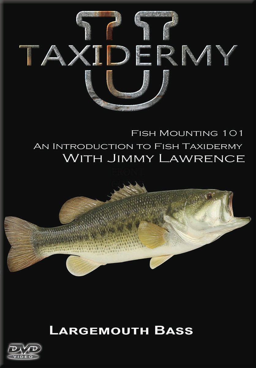 Fish Mounting 101  Taxidermy University