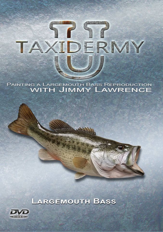 Taxidermy 101 How To Taxidermy Fish